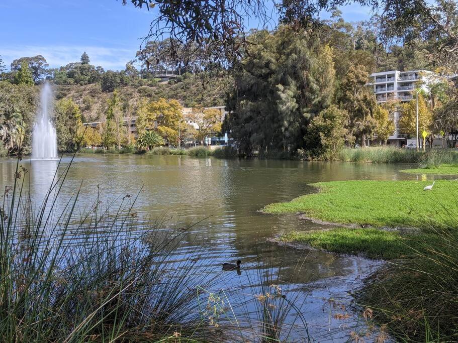 City & Lakeside With Free Parking, Pool And 10 Mins Walk Into The City Perth Eksteriør billede